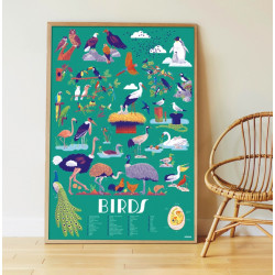 Poster Les Oiseaux Poppik